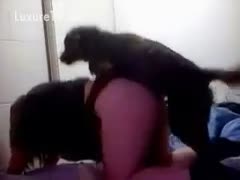 Dog knows it is time to fuck his owner